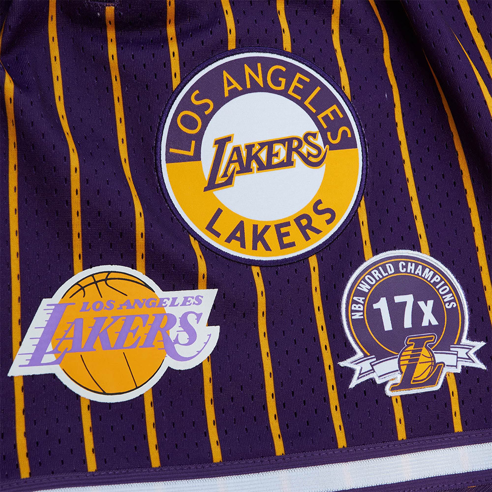 Mitchell & Ness | Los Angeles Lakers City Collection Mesh Shorts (Purple / Gold) XL